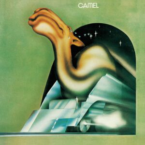 صفحه گرامافون کمل camel