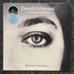 صفحه گرامافون David Gilmour Between Two Points