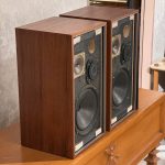 اسپیکر Goodmans Havant