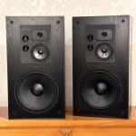 اسپیکر Omni Audio SA12.3